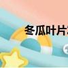 冬瓜葉片發黃是怎么回事（冬瓜葉）