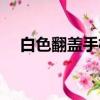 白色翻蓋手機懷舊經典（白色翻蓋手機）