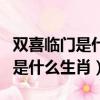 雙喜臨門是什么生肖動物正確答案（雙喜臨門是什么生肖）