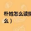 樸姓怎么讀拼音怎么寫（樸姓氏怎么讀音是什么）