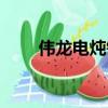 偉龍電燉鍋使用方法（偉龍電燉鍋）