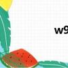 w995c手機（w995c）