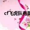 cf飛虎隊有屬性么（cf飛虎隊有什么好處）