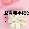 衛青與平陽公主有幾個孩子（衛青與平陽公主）