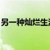 另一種燦爛生活 歌曲（另一種燦爛生活歌詞）