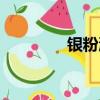 銀粉漆多少錢一桶（銀米）