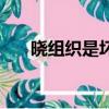 曉組織是壞的嗎（曉組織的老大是誰）