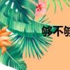 夠不夠表情包（夠不夠歌詞）