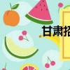 甘肅招生辦公室（甘肅招辦）