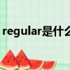 regular是什么意思中文（regular什么意思）