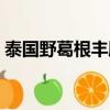 泰國野葛根豐胸真假（嬌韻寶泰國野葛根片）