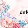 dnf60版本（dnf增益石）