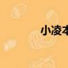小凌本人照片（小凌的照片）