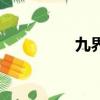 九界修神（九界好玩嗎）