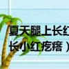 夏天腿上長紅疙瘩很癢是怎么回事（夏天臉上長小紅疙瘩）