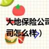大地保險公司怎么樣是正規的嗎（大地保險公司怎么樣）