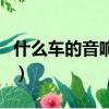 什么車的音響音質最好（什么車音響音質最好）