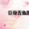 巨骨舌魚圖片吃人嗎（巨骨舌魚圖片）