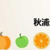 秋浦途中翻譯（秋浦途中）