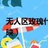 無人區玫瑰什么時候出的（無人區什么時候上映）