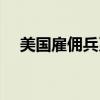 美國雇傭兵系列電影（雇傭兵系列電影）
