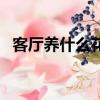 客廳養什么花好財運旺（客廳養什么花好）