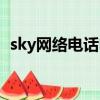 sky網絡電話電腦版（sky網絡電話怎么樣）