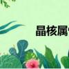 晶核屬性攻擊（冰屬性攻擊卡）