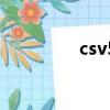 csv5中文版下載（csv5）