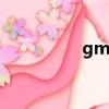 gm墨鏡正品和仿版區別