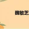 魏敏芝現狀如何（魏敏芝現狀）