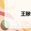 王陟北京豪宅照片（王陟）