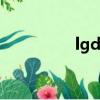 lgd r8面板（lgd ruru）