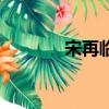 宋再臨金素恩（陳翔金素恩）