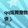 qq炫舞寵物怎么合體（qq炫舞寵物怎么升級快）