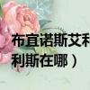 布宜諾斯艾利斯在哪個洲哪個省（布宜諾斯艾利斯在哪）