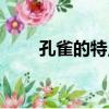 孔雀的特點寫一段話（孔雀的特點）