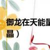 御龍在天能量結晶有什么用（御龍在天能量結晶）