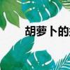 胡蘿卜的須（胡蘿卜須是什么意思）