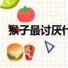 猴子最討厭什么線啊（猴子最討厭什么線）