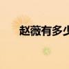 趙薇有多少錢人民幣（趙薇有多少錢）