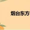 煙臺東方電子待遇（煙臺東方電子）