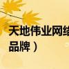 天地偉業網絡攝像機客戶端（高清網絡攝像機品牌）