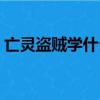 亡靈盜賊學什么專業好（盜賊學什么專業好）