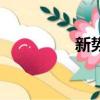 新勢力卡盟（新勢力卡）