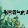 形容霸氣的詞語四個字（形容霸氣的詞語）