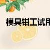 模具鉗工試用期轉正工作總結（模具鉗工）