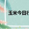 玉米今日行情多少錢一斤（玉米系統）