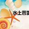水上芭蕾又稱為（水上芭蕾又稱）