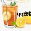 qq寵物界面（qq寵物打不開）